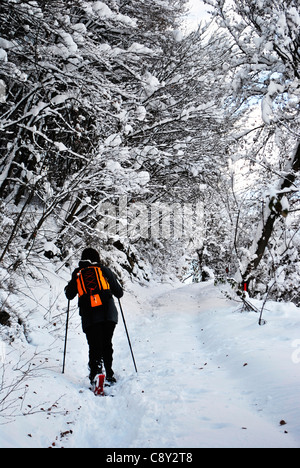 Wanderer, Spaziergänge im Schneewald Stockfoto