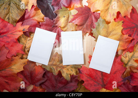 Laub und White Papers Stockfoto