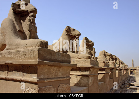 Ägypten Karnak Avenue von Sphingen Stockfoto