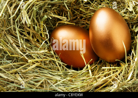 Gold-Ei im Nest hautnah Stockfoto