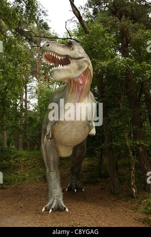 Tyrannosaurus Rex (Tyrann Eidechse) in Leba Park (Dinosaurier Freizeitpark), Polen Stockfoto