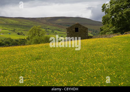 Eine malerische alten Scheune sitzt auf einer blühenden Wiese im Swaledale in Yorkshire Dales Stockfoto