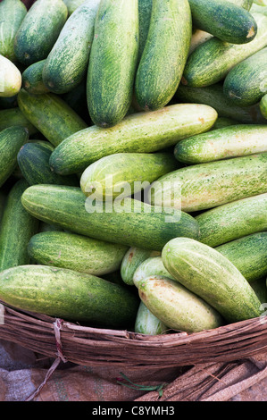 Indische Gurken in einem Korb an einem indischen Markt. Andhra Pradesh, Indien Stockfoto