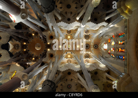 Innenraum des Basílica y Templo Expiatorio De La Sagrada Familia, Barcelona, Spanien Stockfoto