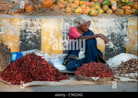 Ländliche Indianerin, rote Chili in einer indischen Straßenmarkt in Puttaparthi zu verkaufen Stockfoto