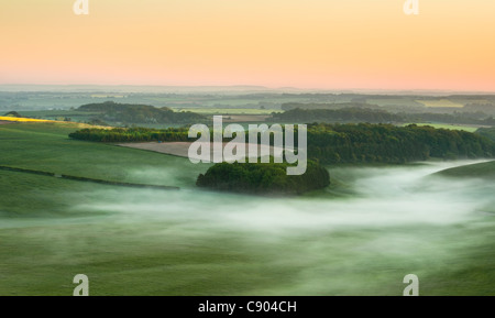 Blick vom Cheesefoot Head auf der South Downs Way, in der Nähe von Winchester, Hampshire an einem Sommermorgen mit niedriger liegenden Nebel Stockfoto