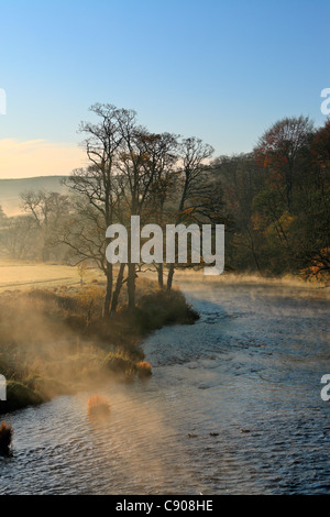 Morgenlicht und Nebel an einem kühlen Herbstmorgen entlang des Flusses Wharfe in der Nähe von Barden, Wharefedale, Yorkshire, England Stockfoto