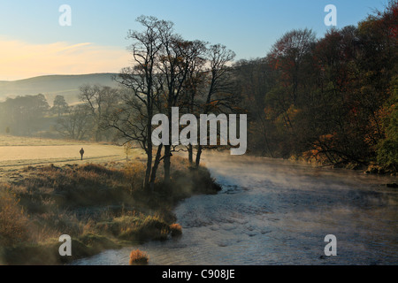 Ein Mann geht entlang der Küste von einem nebligen Flusses Wharfe im Herbst Stockfoto