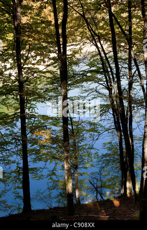 Irabia Reservoir, Selva de Irati, Navarra, Spanien Stockfoto