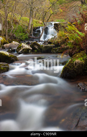 Wasserfälle am Fluss Caerfanell, Brecon Beacons National Park, South Wales, UK, Europa Stockfoto