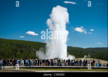 Old Faithful Geysir Stockfoto