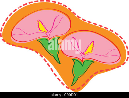 Illustration von natürlichen Blumen in organischer Form. Stockfoto