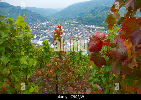 Blick über Weinberge in Dernau, Ahr-Tal, Ahr, Eifel, Rheinland-Pfalz, Deutschland, Europa Stockfoto