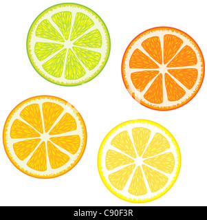Illustration der Scheiben der Zitrusfrüchte: Orange, rote Grapefruit, Zitrone und Limette. Ideal für die Herstellung von Mustern Stockfoto