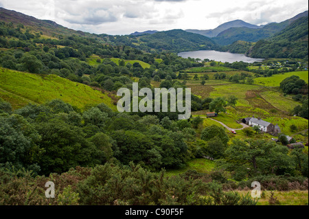 Blick Richtung See Llyn Gwynant, Snowdonia-Nationalpark, Wales, UK Stockfoto