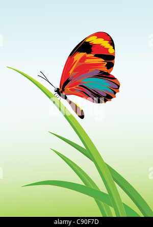 Abbildung von einem grünen Garten Hintergrund mit Schmetterling und Gräsern. Stockfoto