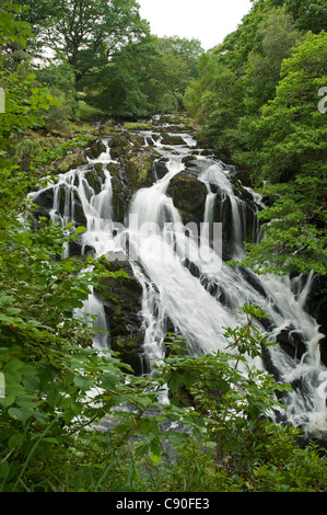 Swallow Falls in der Nähe von Betws-y-Coed, Snowdonia-Nationalpark, Wales, UK Stockfoto