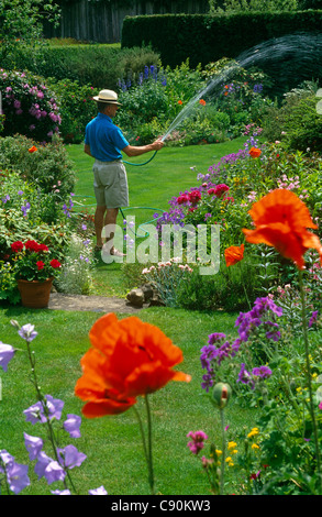 Traditionelle englische Gärten haben Grenzen und mehrjährige Blumen gemischt. Die meisten Gärten brauchen Bewässerung zu irgendeinem Zeitpunkt während Stockfoto