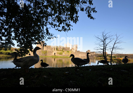 Caerphilly Castle, mittelalterliche Burg in Caerphilly in der Nähe von Cardiff, Süd-Wales, Wales, Großbritannien Stockfoto