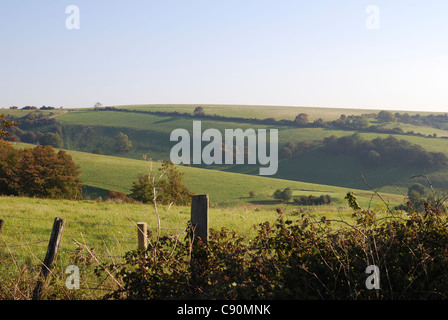 England. West Sussex. Worthing. Landschaft auf South Downs Stockfoto