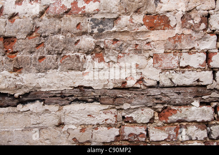 Farbe abplatzt Mauer in einem verlassenen Gebäude Stockfoto