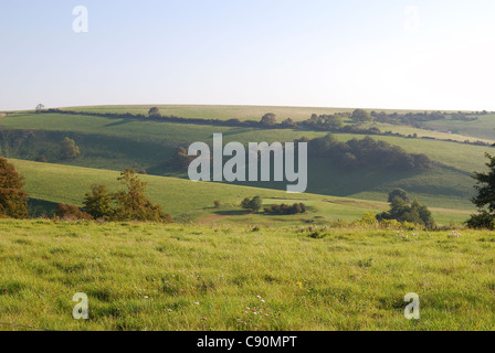 England. West Sussex. Worthing. Landschaft auf South Downs Stockfoto