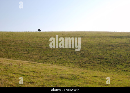 England. West Sussex. Worthing. Landschaft auf South Downs Stockfoto