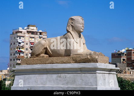 Alexandria wurde an der Küste von Alexander dem großen gegründet und es gibt große Statuen und eine feine Sphinx aus rosa Granit Stockfoto