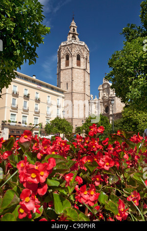 Die Kathedrale von Valencia, Catedral de Santa Maria de Valencia und Plaza De La Reina, Plaza De La Virgen, Valencia, Spanien Stockfoto