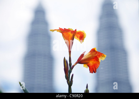 Orange gladiolussy mit Petronas-Türme in den Hintergrund, Kuala Lumpur, Malaysia, Asien Stockfoto