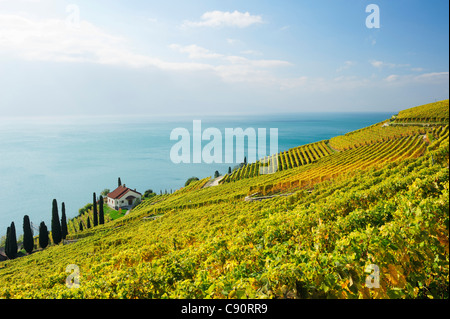 Villa im Weinberg mit den Genfer See, Genfer See, Lavaux Weinbergterrassen, UNESCO World Heritage Site Lavaux Weinbergterrassen, Stockfoto