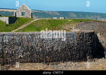 der alte Hafen von Portsoy, Aberdeenshire, Schottland Stockfoto