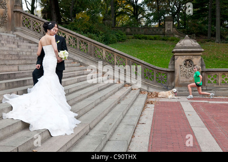 Asiatische Brautpaar auf einer Treppe posieren für ein Foto junge Frauen ihre Übungen neben ihr Hund Central Park New York Ci Stockfoto