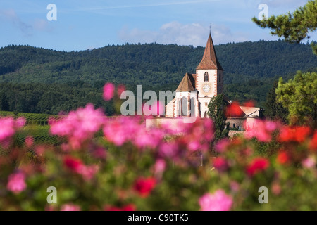 Hunawihr Dorf Kirche in Frankreich Stockfoto