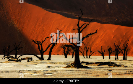 Toter Baum auf Lehmböden vor roten Sanddüne, Deadvlei, Sossusvlei, Namib, Namibia, Afrika Stockfoto