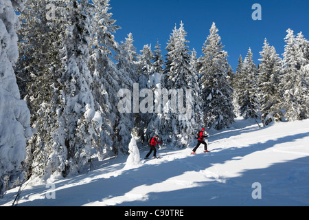 Skifahrer im Bergwald am Berg großer Arber, Bayerischer Wald, Bayerisch Eisenstein, Bayern, Deutschland, Europa Stockfoto