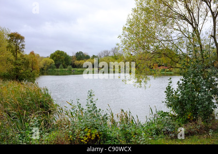 Northlands Park Lake in Basildon, Essex. Stockfoto