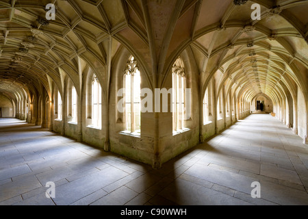 Kreuzgang im Kloster Bebenhausen, Bebenhausen, Tübingen, Baden-Württemberg, Deutschland, Europa Stockfoto