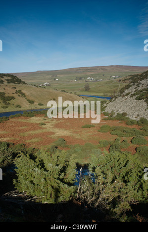 Es gibt ein guter Blick auf die obere Teesdale Landschaft aus Bracken Rigg in Richtung Wald-In-Teesdale. Es ist ein Gebiet von großer Stockfoto