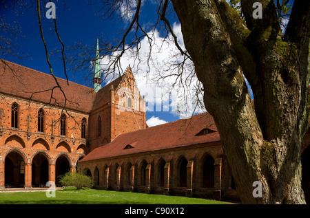 Blick auf Chorin Kloster, Zisterzienser Kloster Chorin, Uckermark, Brandenburg, Deutschland, Europa Stockfoto