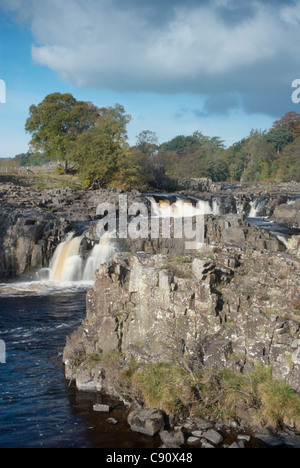 Low Force Wasserfälle sind eine Reihe von kleinen Kaskaden auf dem River Tees zu Bowlees. Durham, England. Stockfoto