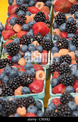 Bio Brombeeren, Erdbeeren, Heidelbeeren, Himbeeren auf einem Bauernmarkt im US-Bundesstaat Washington Stockfoto