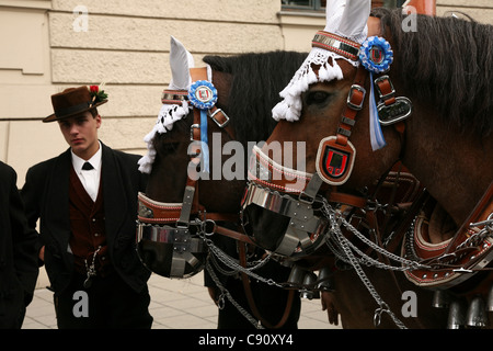 Pferde an der feierlichen Eröffnung des Oktoberfestes in München teilnehmen. Stockfoto