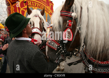 Pferde an der feierlichen Eröffnung des Oktoberfestes in München teilnehmen. Stockfoto