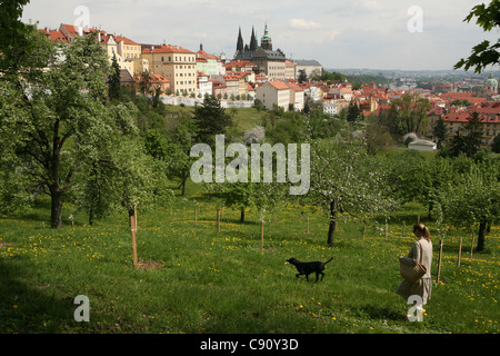 Blick auf die Prager Burg aus dem Seminar-Garten in Prag, Tschechien. Stockfoto