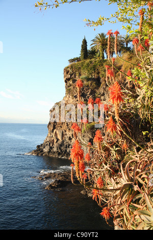 Madeira ist eine vulkanische Landmasse eine Insel im Nordatlantik. Die Insel lockt Besucher um zu sehen, die wilden Blumen und Stockfoto