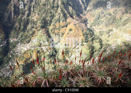 Madeira ist ein beliebtes Urlaubsziel. Zwei topographische Merkmale kennzeichnen die Landschaft Madeiras: steile Berge und Stockfoto