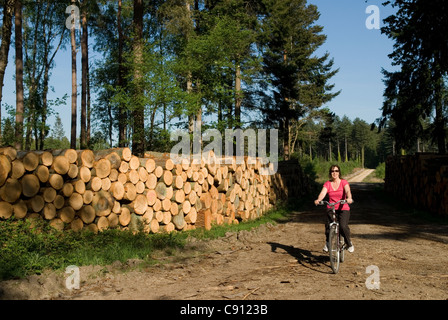 Es gibt 100 Meilen von markierten Offroad-Radwege in New Forest National Park in Hampshire. Stockfoto