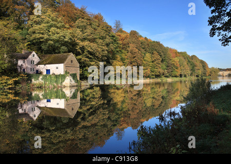 Alte Mühle und herbstliche Bäume von der Westbank des Flusses tragen in Durham City, Nord-Ost-England, UK Stockfoto