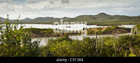 Der Niederlande, Insel Bonaire, Niederländische Karibik, Washington Slagbaai National Park Stockfoto